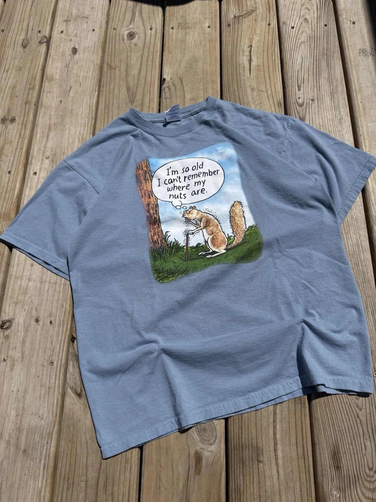 Im So Old I Can’t Remember Where My Nuts Are Tee Sz L Vintage Y2K Funny Squirrel