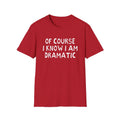 of course i know i am dramatic hand drawn font tshirt