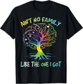 Ain't No Family Like The One I Got - Matching Family Reunion T-Shirt