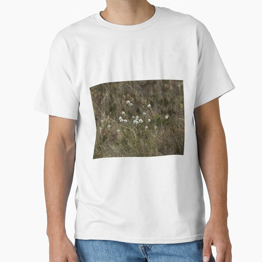 Cotton Grass by Sue Robinson