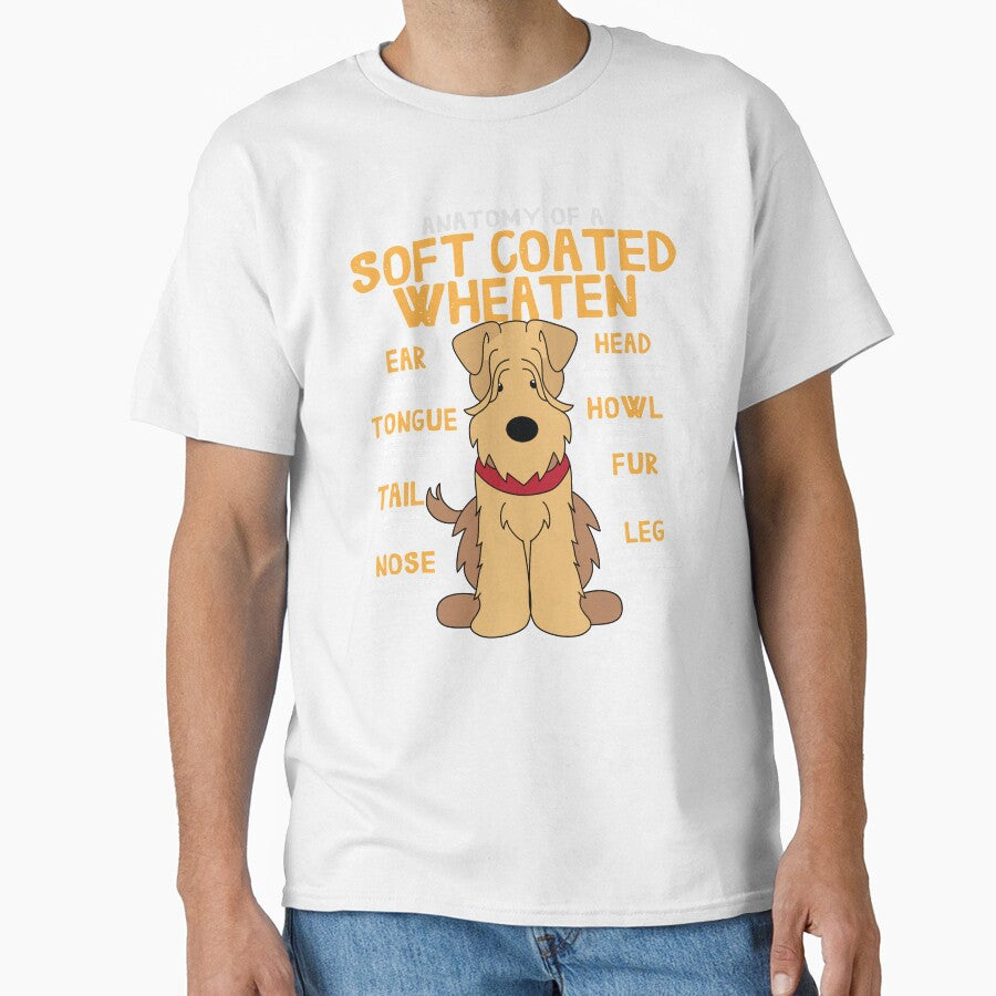 Anatomy of Soft coated wheaten Dog by rafaeltto
