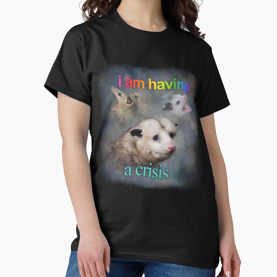 I am having a crisis possum word art by snazzyseagull