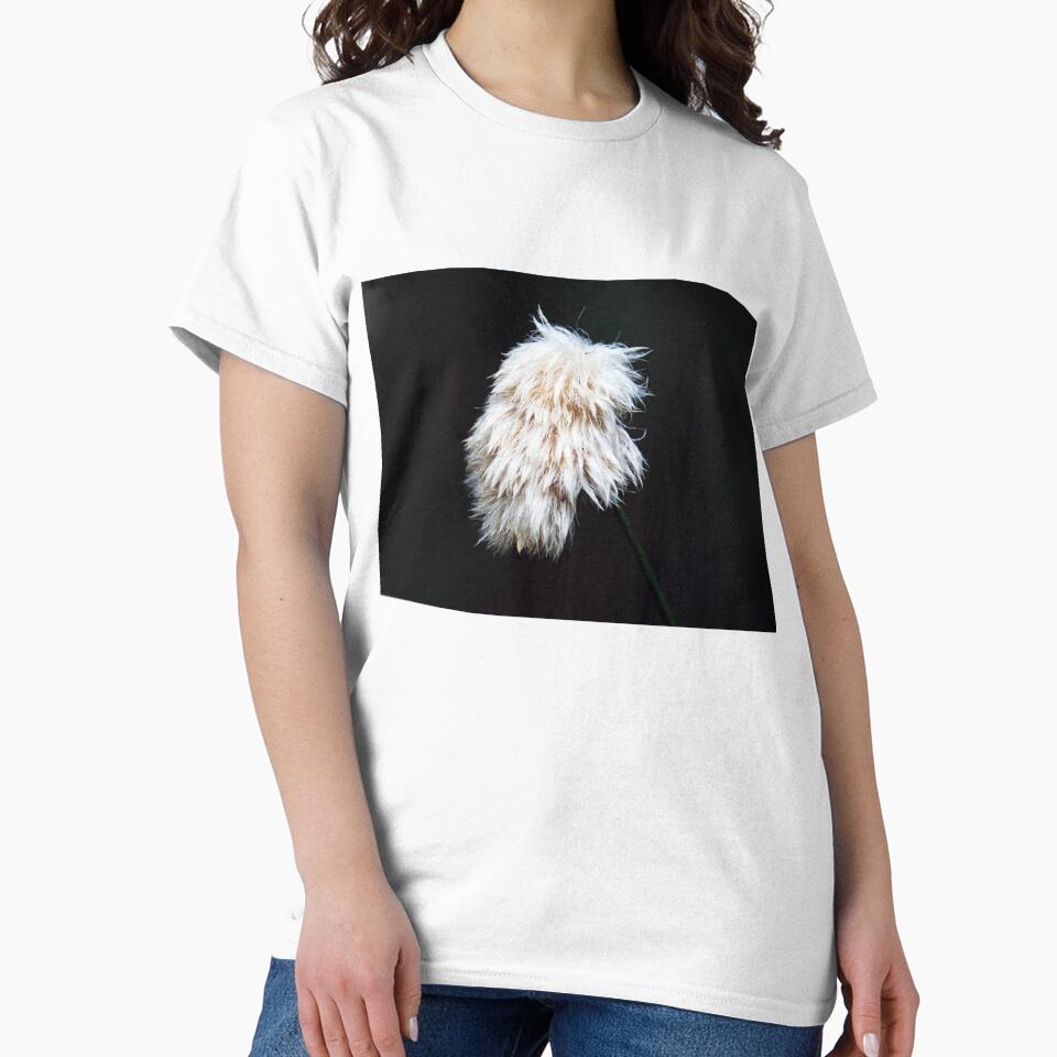 Cotton Grass by Deb Oppermann