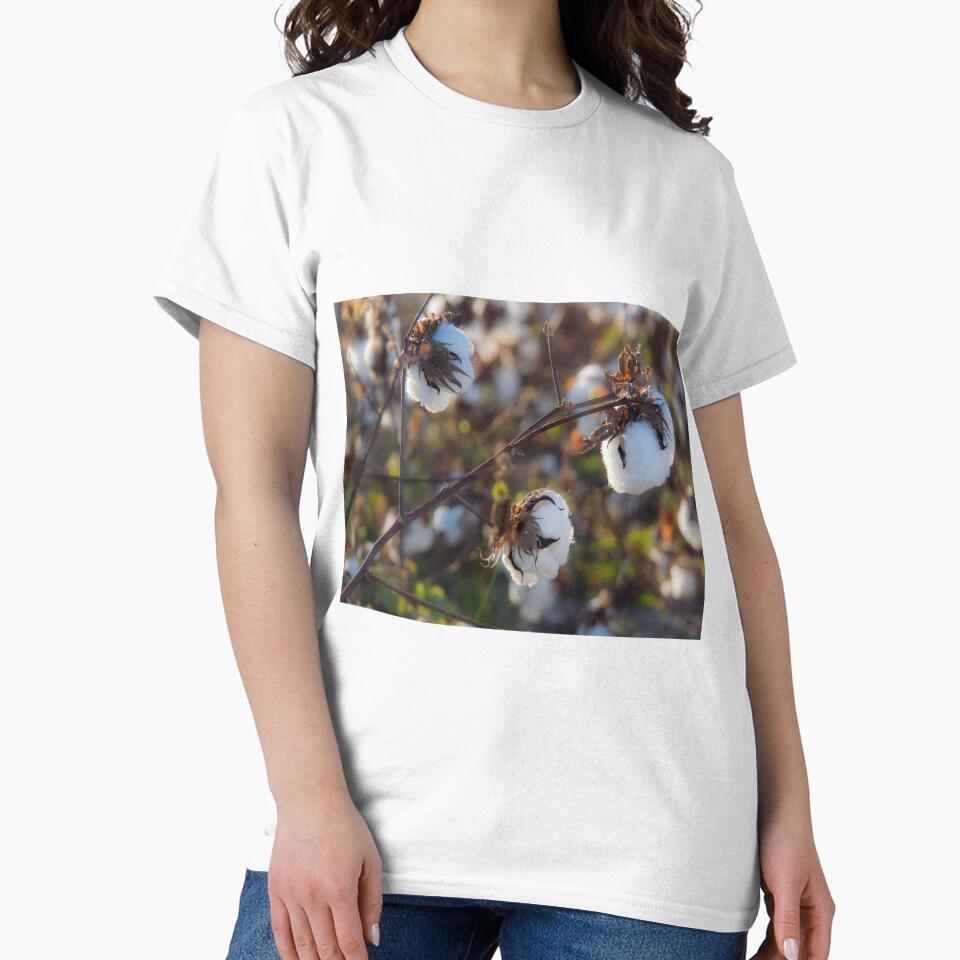 Cotton by Alla Gill