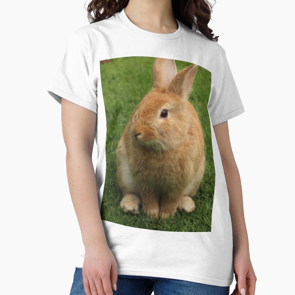 SUZY WABBIT by CUTESTUFFnow