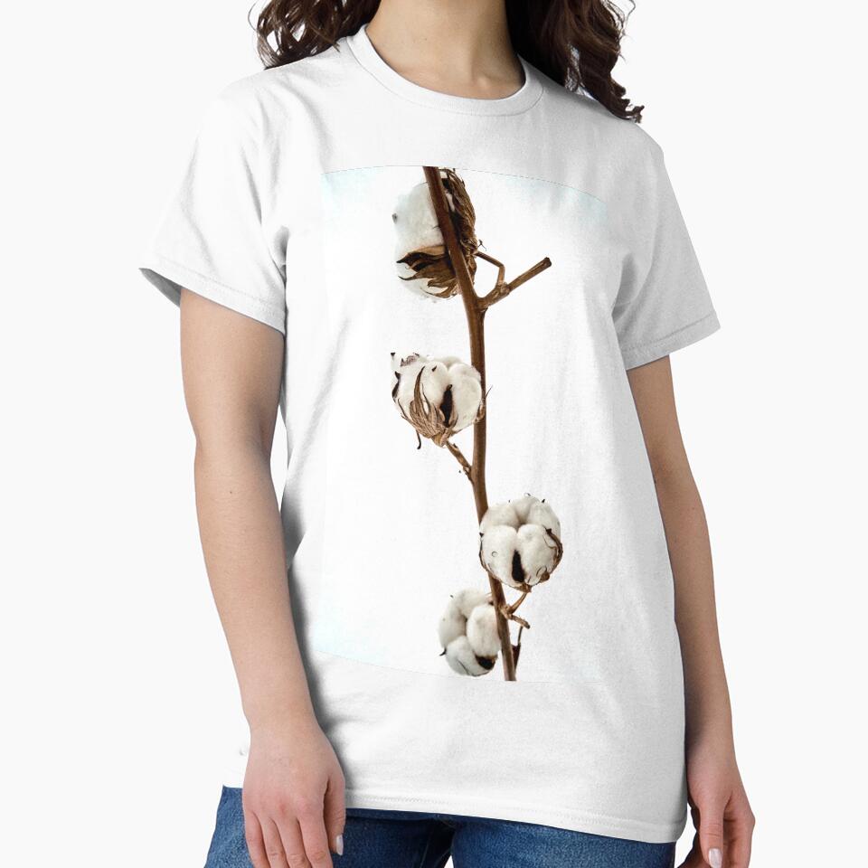 cotton sprig by IgorKovalenko