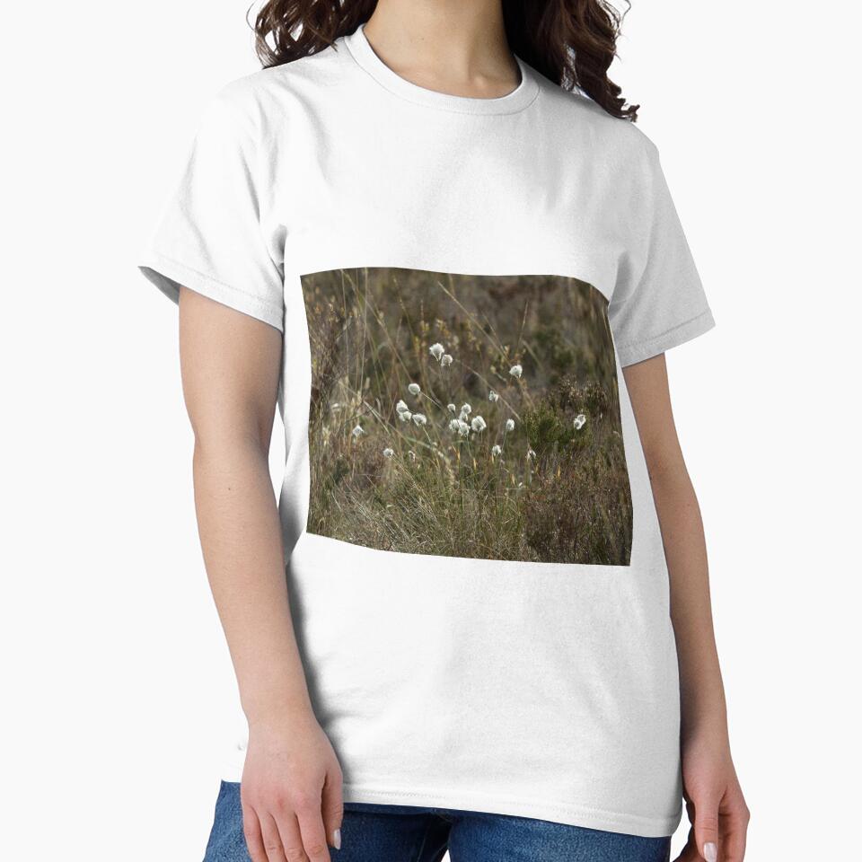 Cotton Grass by Sue Robinson
