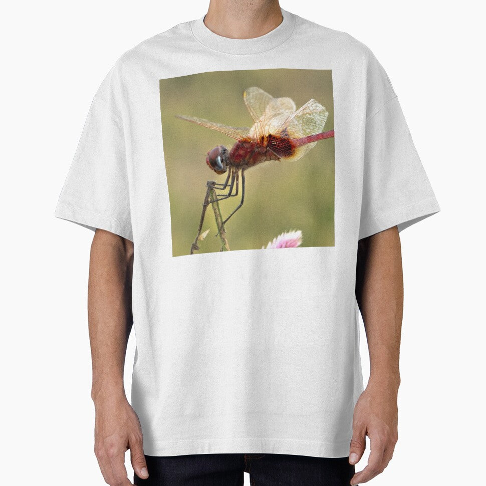 Migrating Birds Holiday Stationstores bHorizon by apiolands