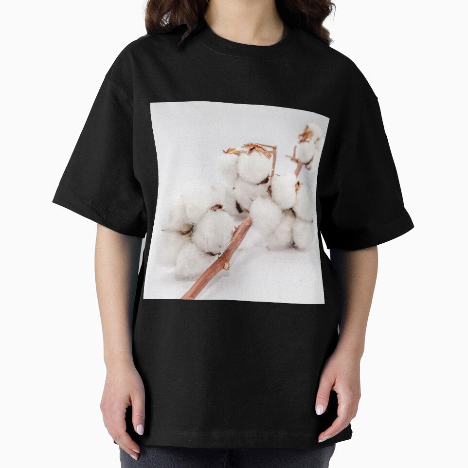 cotton flowers on a branch by nataliavavilina