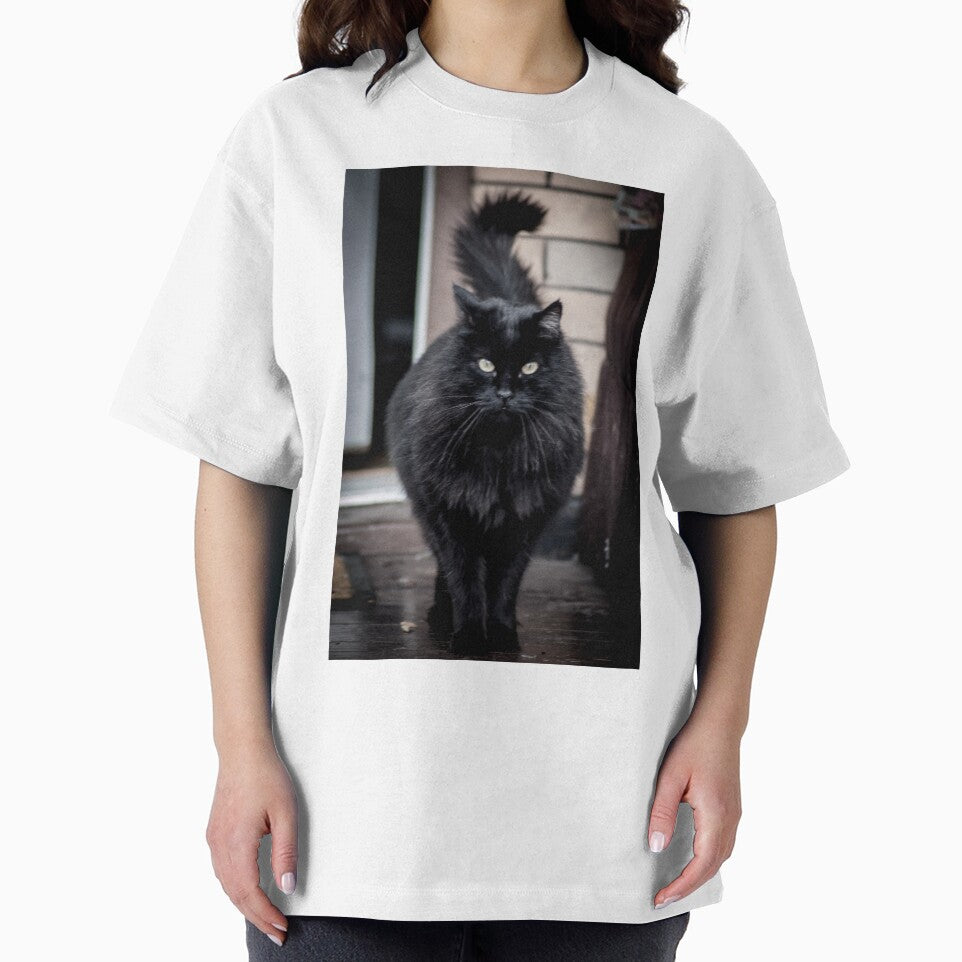 stylish black fluffy cat by Sillygirl101