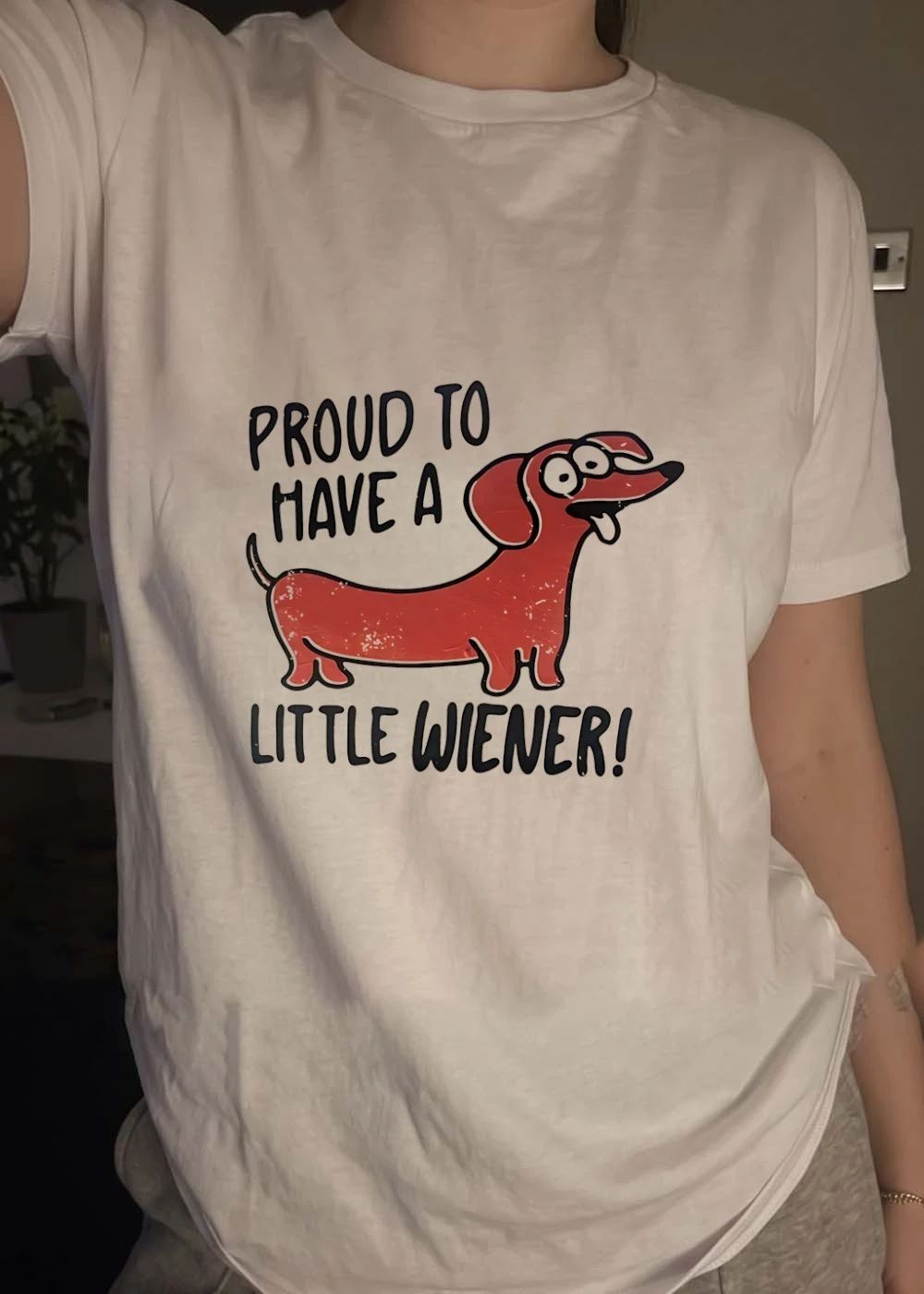 Proud to Have a Little Wiener Funny Dachshund Dog T-Shirt